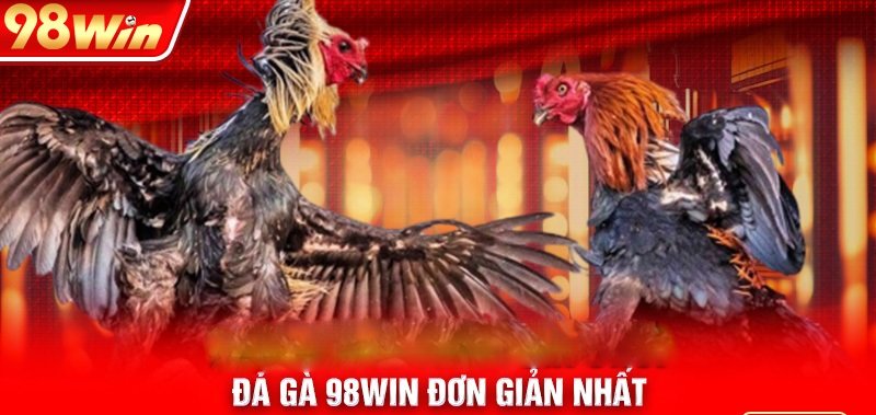 đá gà 98Win